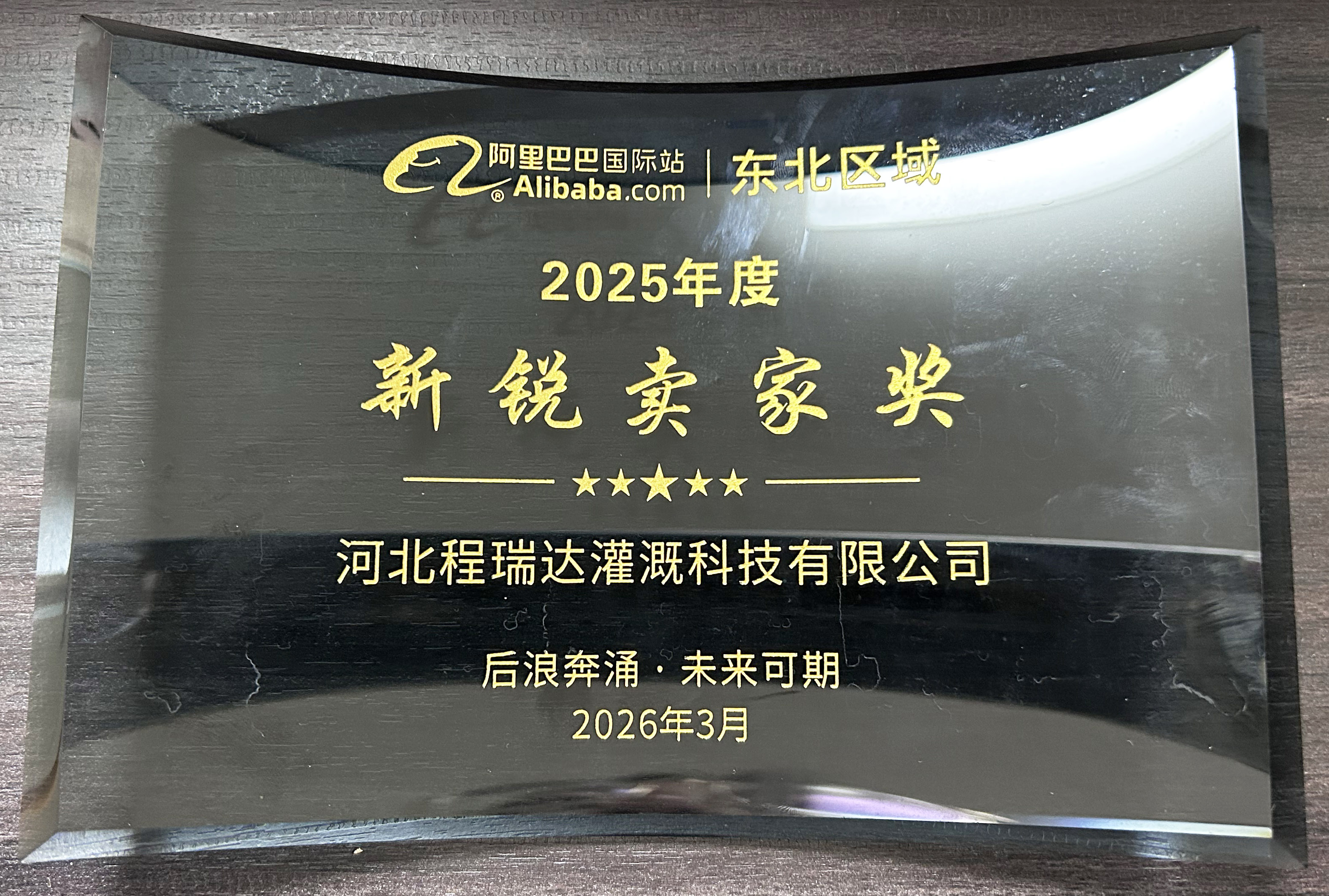 鞍山程瑞达灌溉 | 荣获阿里国际站新锐卖家奖